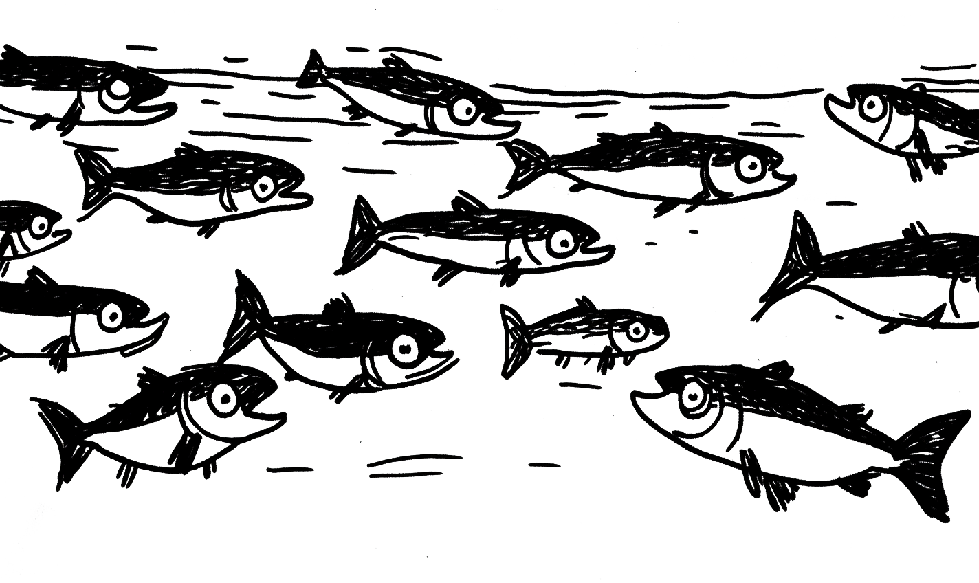 Salmon farming